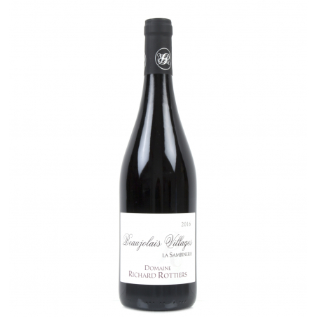 Richard Rottiers - Beaujolais-Villages - 2024 - Rouge