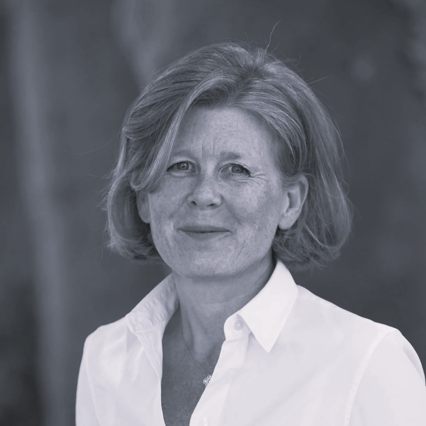 Château Haut-Bailly